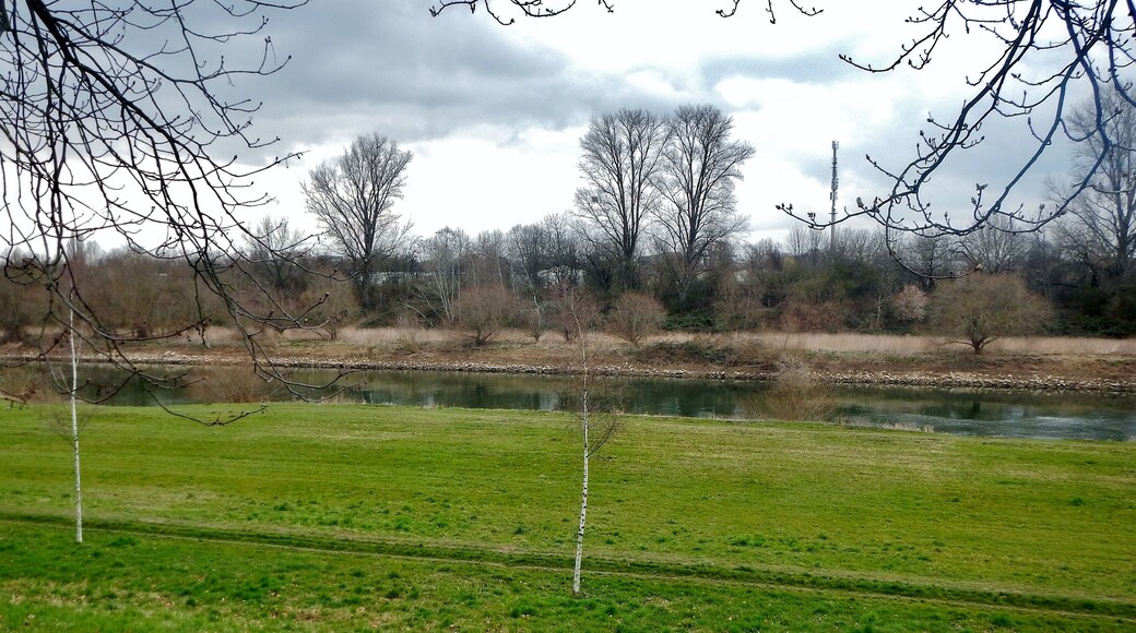 Ausblick vom 366 km langen Neckartalradweg