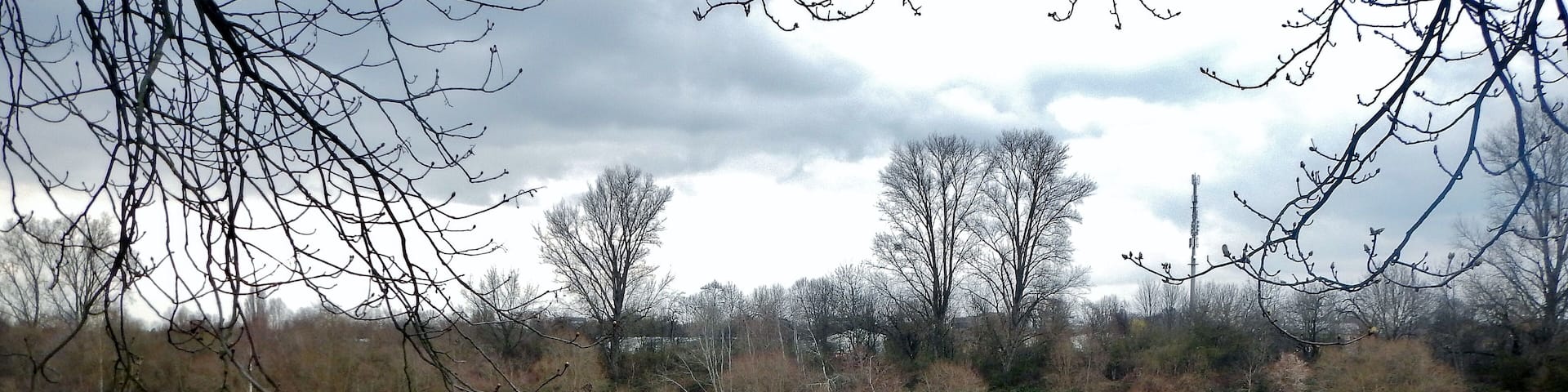 Ausblick vom 366 km langen Neckartalradweg