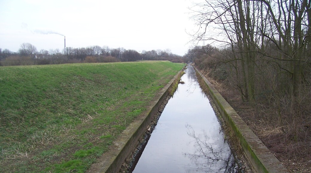 Stinkkanal