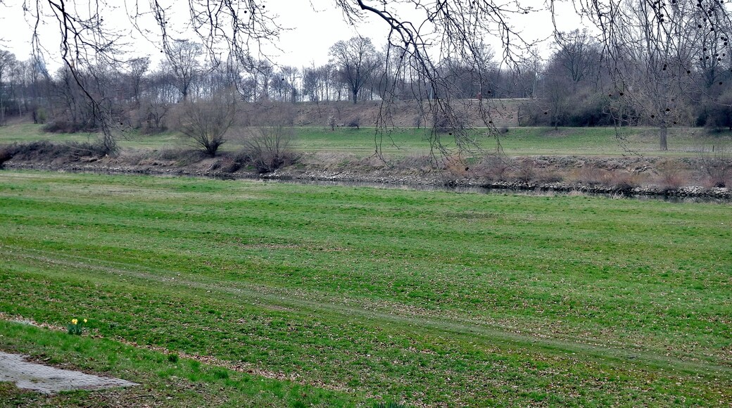 Osterglocken, Narzissen beim 366 km langen Neckartalradweg: