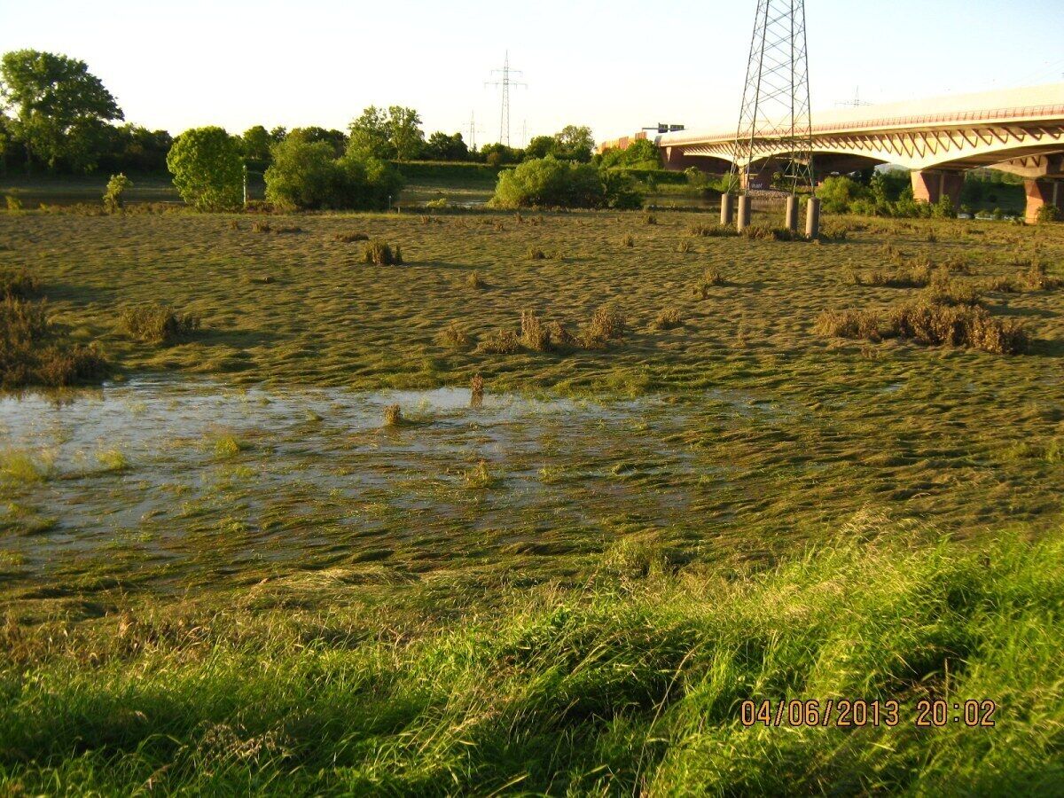 Neuostheim/Neuhermsheim