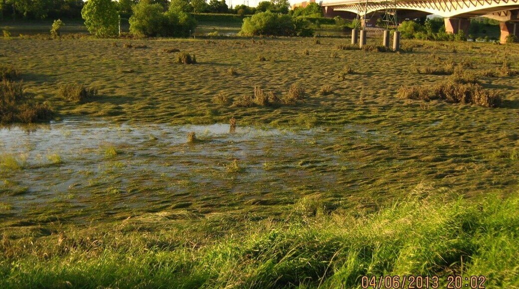 Neuostheim/Neuhermsheim