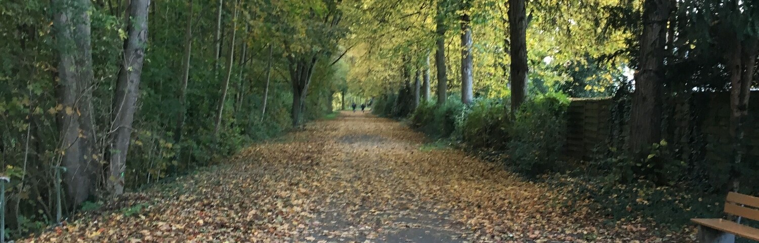 Walking in the park near the Rhine