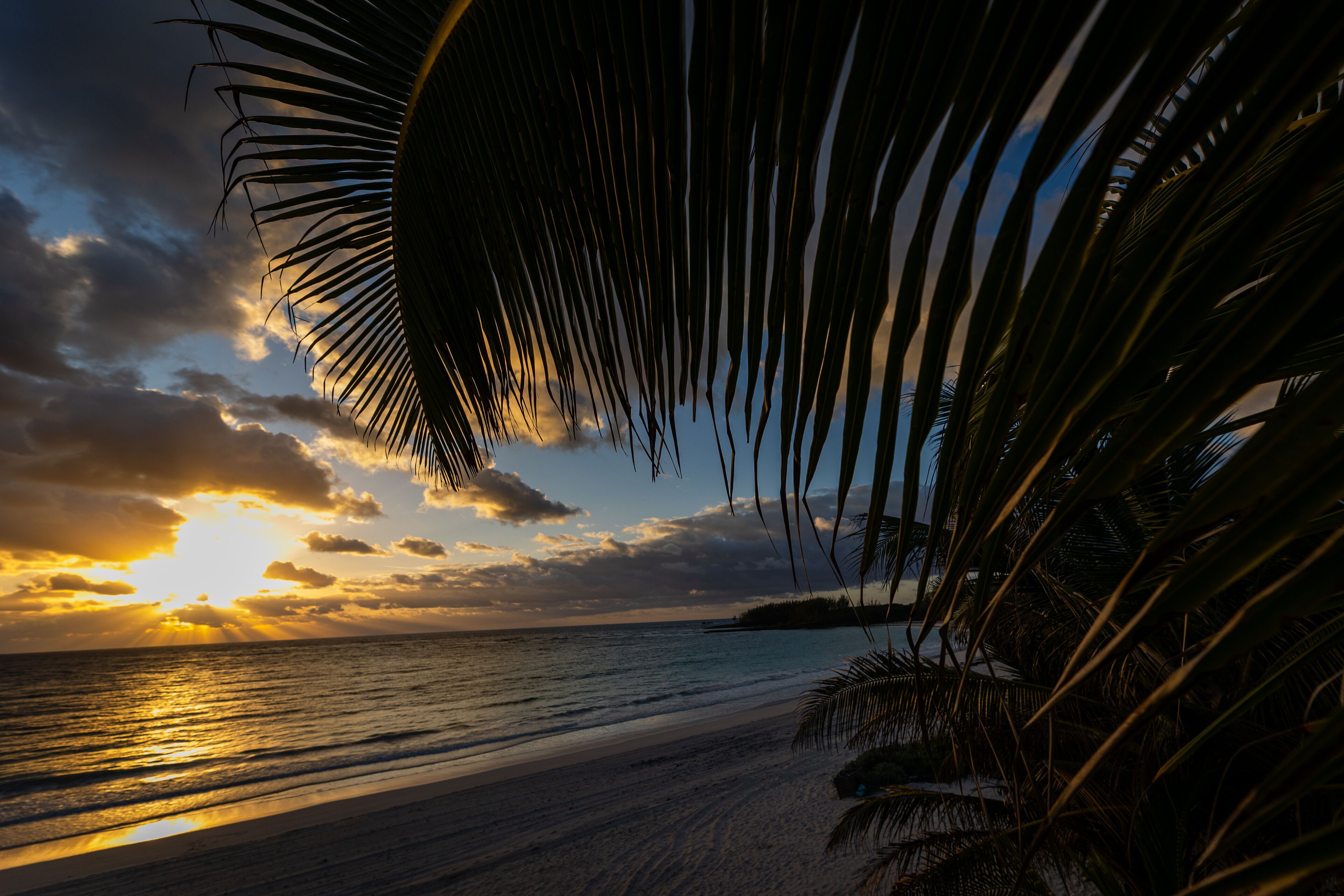 Palm trees and sunset on a bahama beach