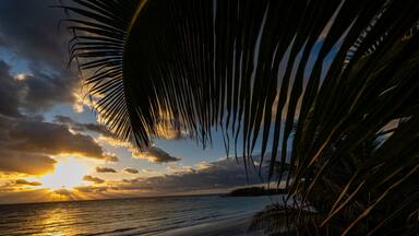 Palm trees and sunset on a bahama beach