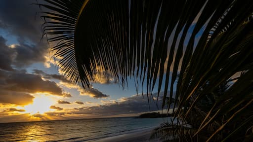 Palm trees and sunset on a bahama beach