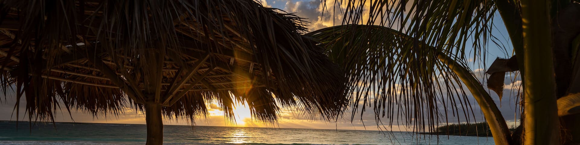 Two beach chairs on a beach under a palm tree in the bahamas