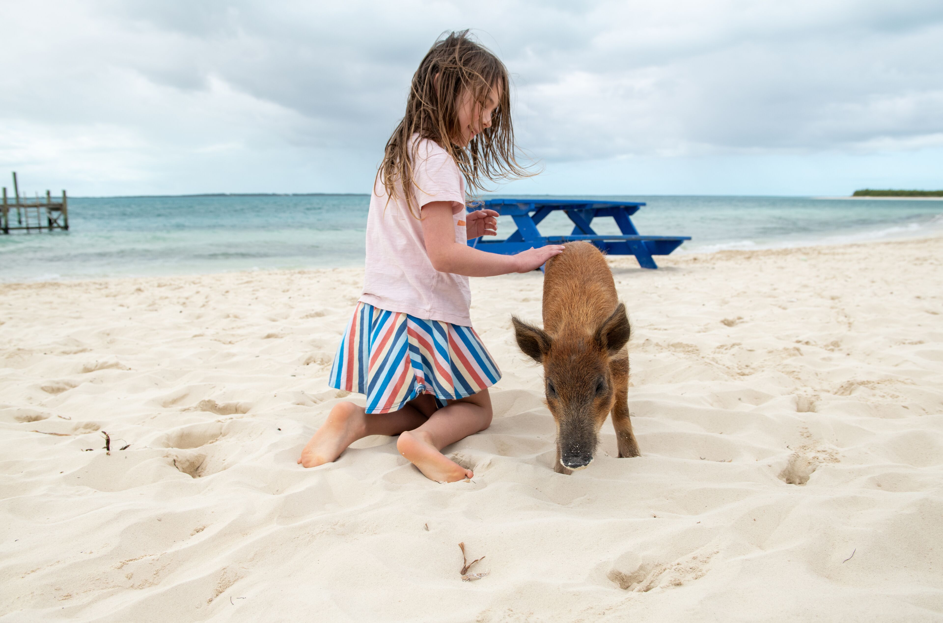 A child on a sandy beach with a pig, a blue pier in the background, and calm sea.
