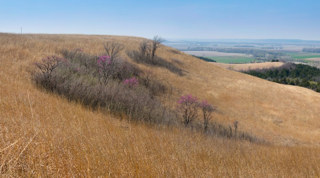 Panoramic view of the Konza Prairie tallgrass preserve with early spring Blue Stem grass, trees, valleys, open space, and Manhattan, Kansas in the distance.
