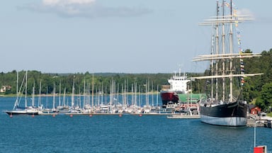 A large sailing ship docked at a marina with several smaller boats and a forested shoreline in the background.