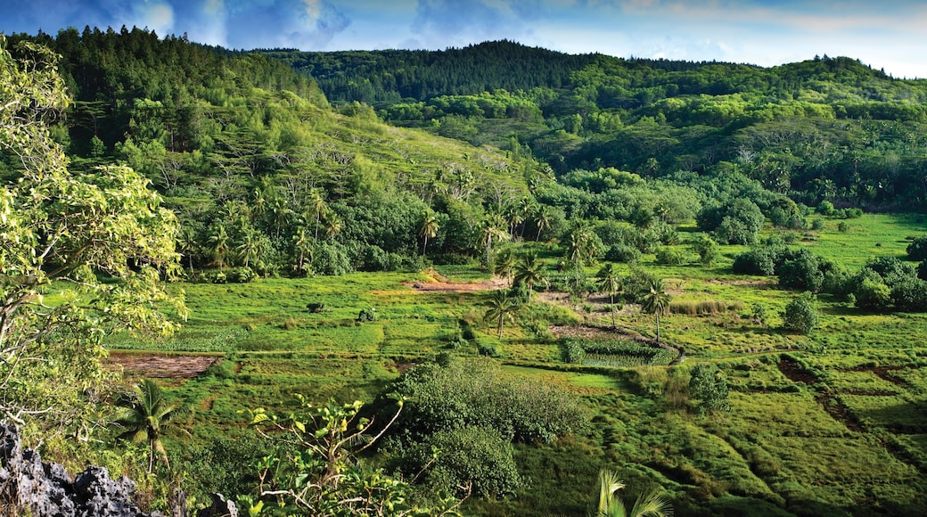 Manihiki which includes landscape views and tranquil scenes