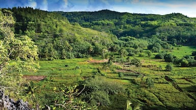 Manihiki which includes landscape views and tranquil scenes