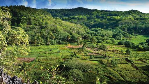 Manihiki which includes landscape views and tranquil scenes