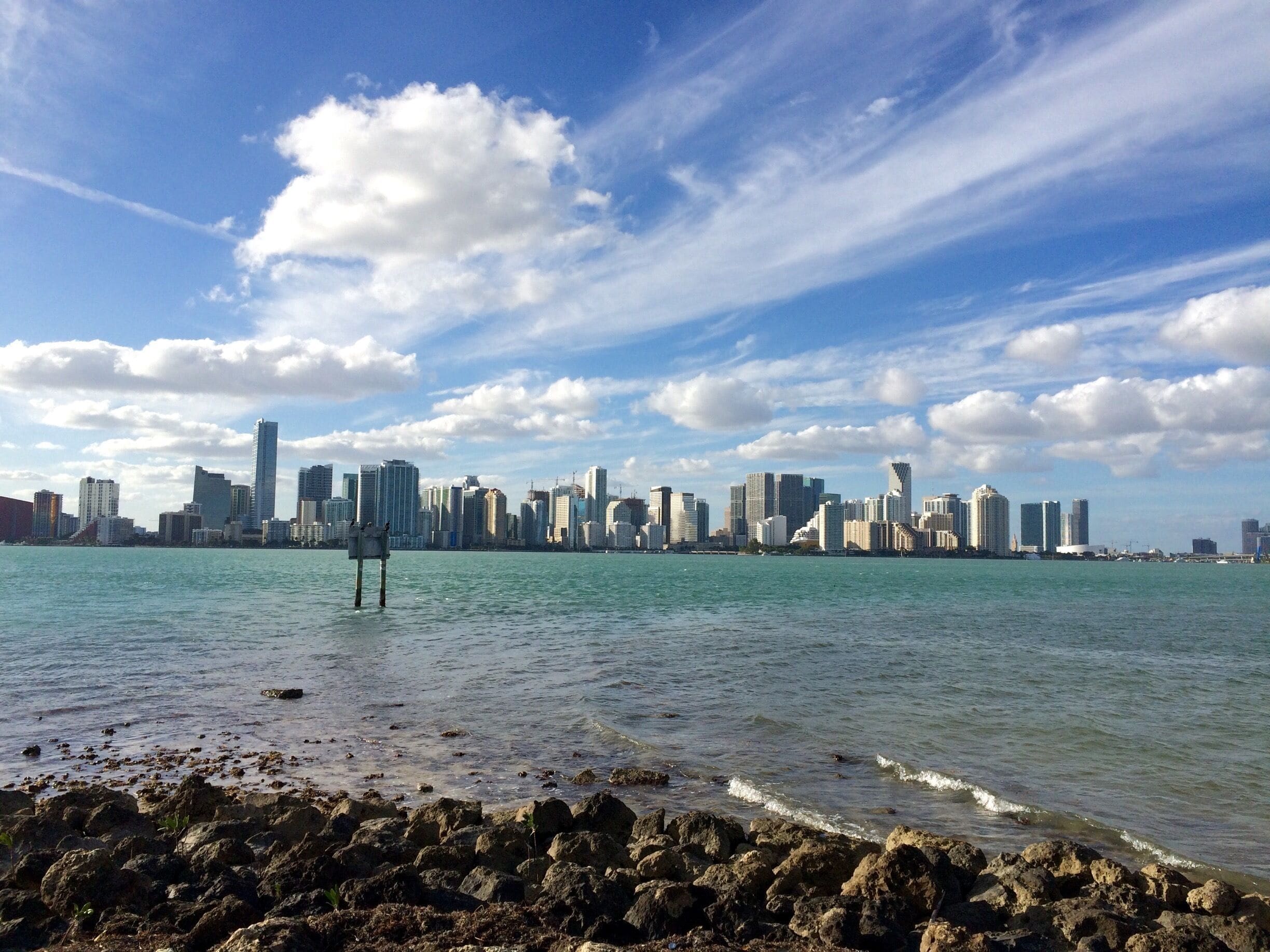 We went on an awesome hike today at Miami Stadium Park. Check out the view from the end! @miamibeach411 #welovetoexplore #miami #florida #travel #hiking #architecture 