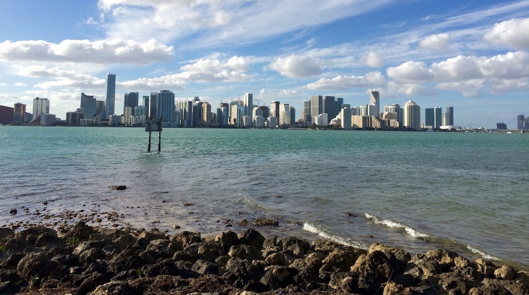 We went on an awesome hike today at Miami Stadium Park. Check out the view from the end! @miamibeach411 #welovetoexplore #miami #florida #travel #hiking #architecture
