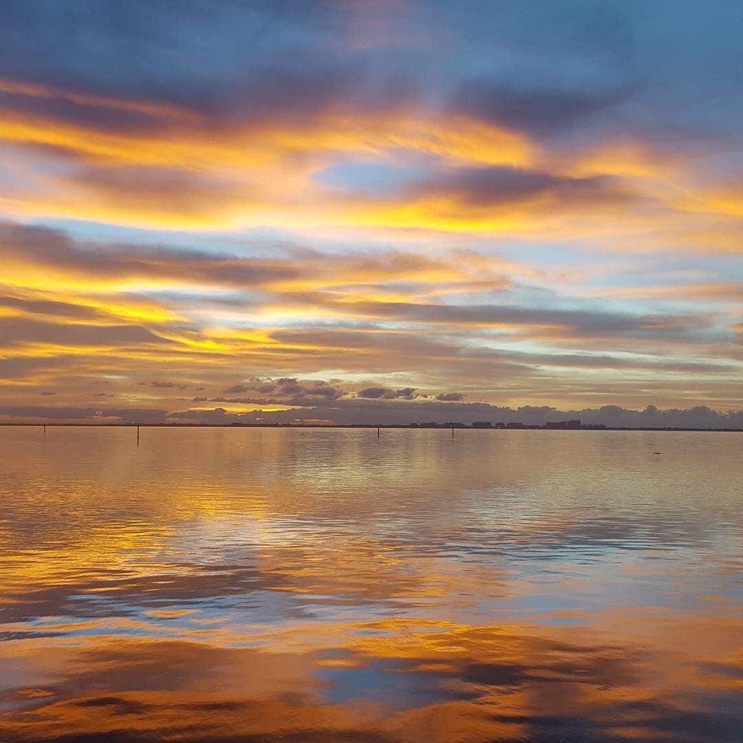 No filters. This are my morning views.
