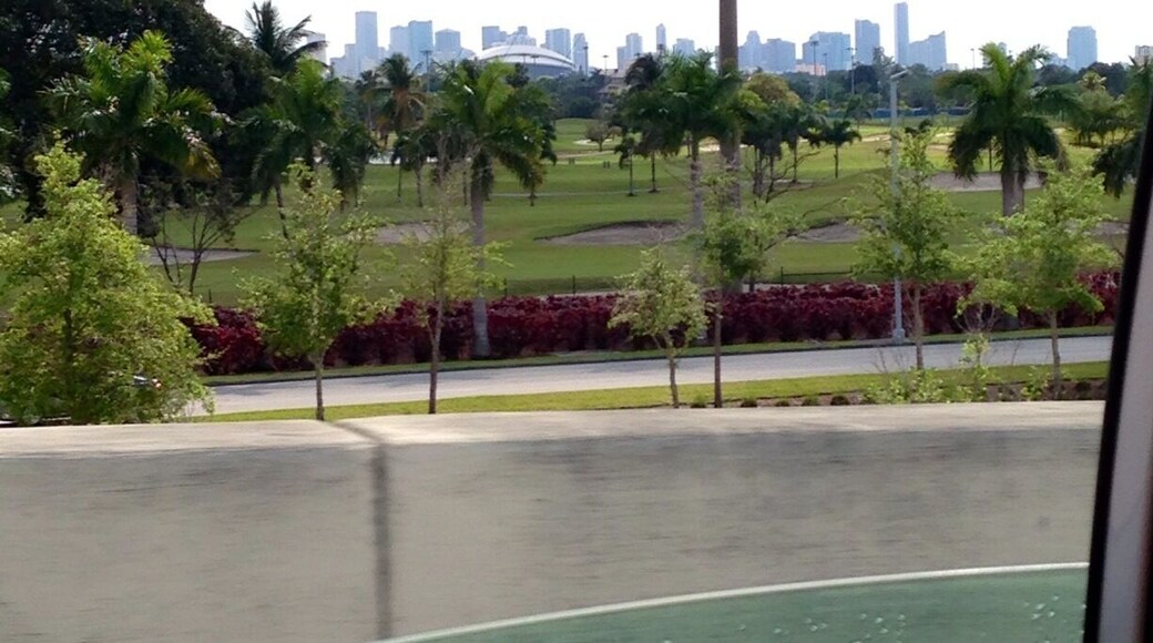 Perfectly decorated view of the city skyline.