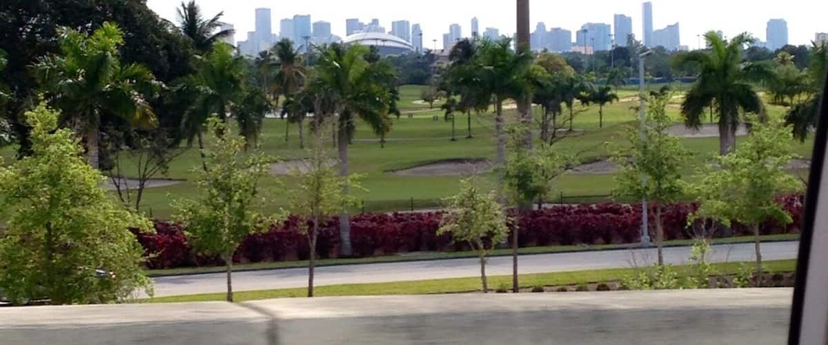 Perfectly decorated view of the city skyline.