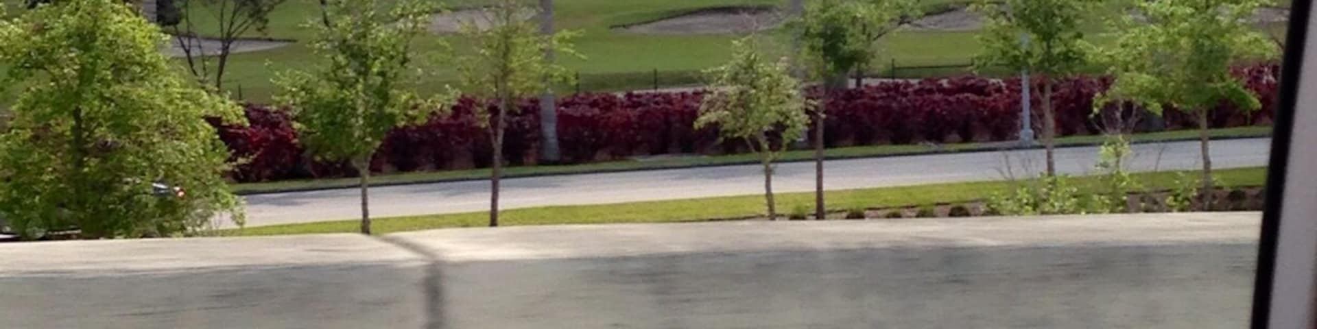 Perfectly decorated view of the city skyline.