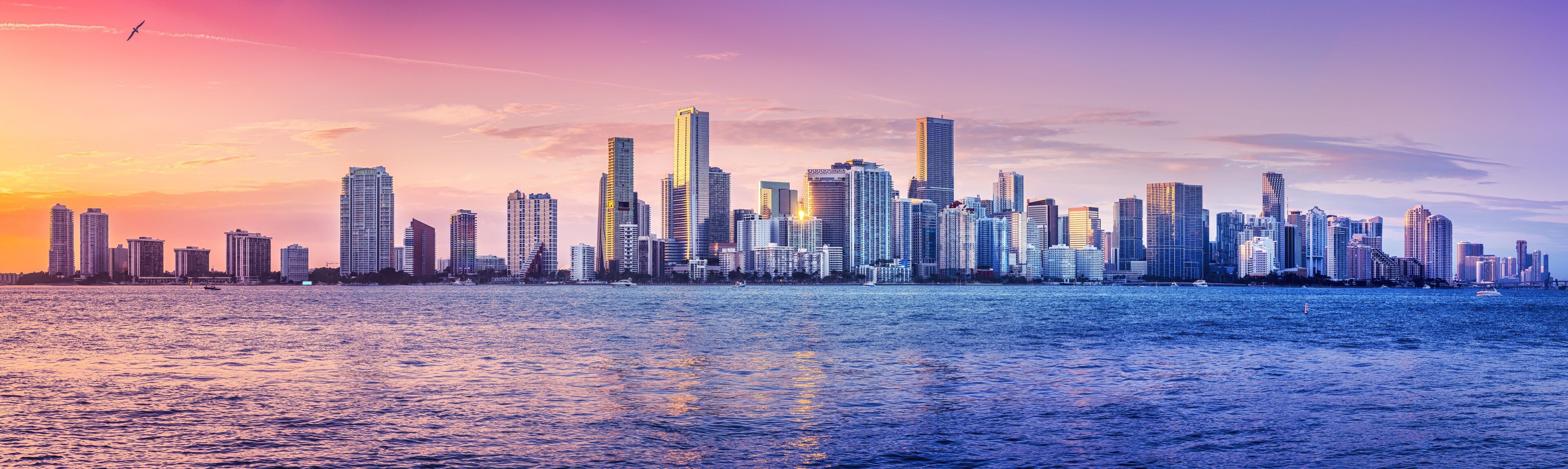 the skyline of miami while sunset