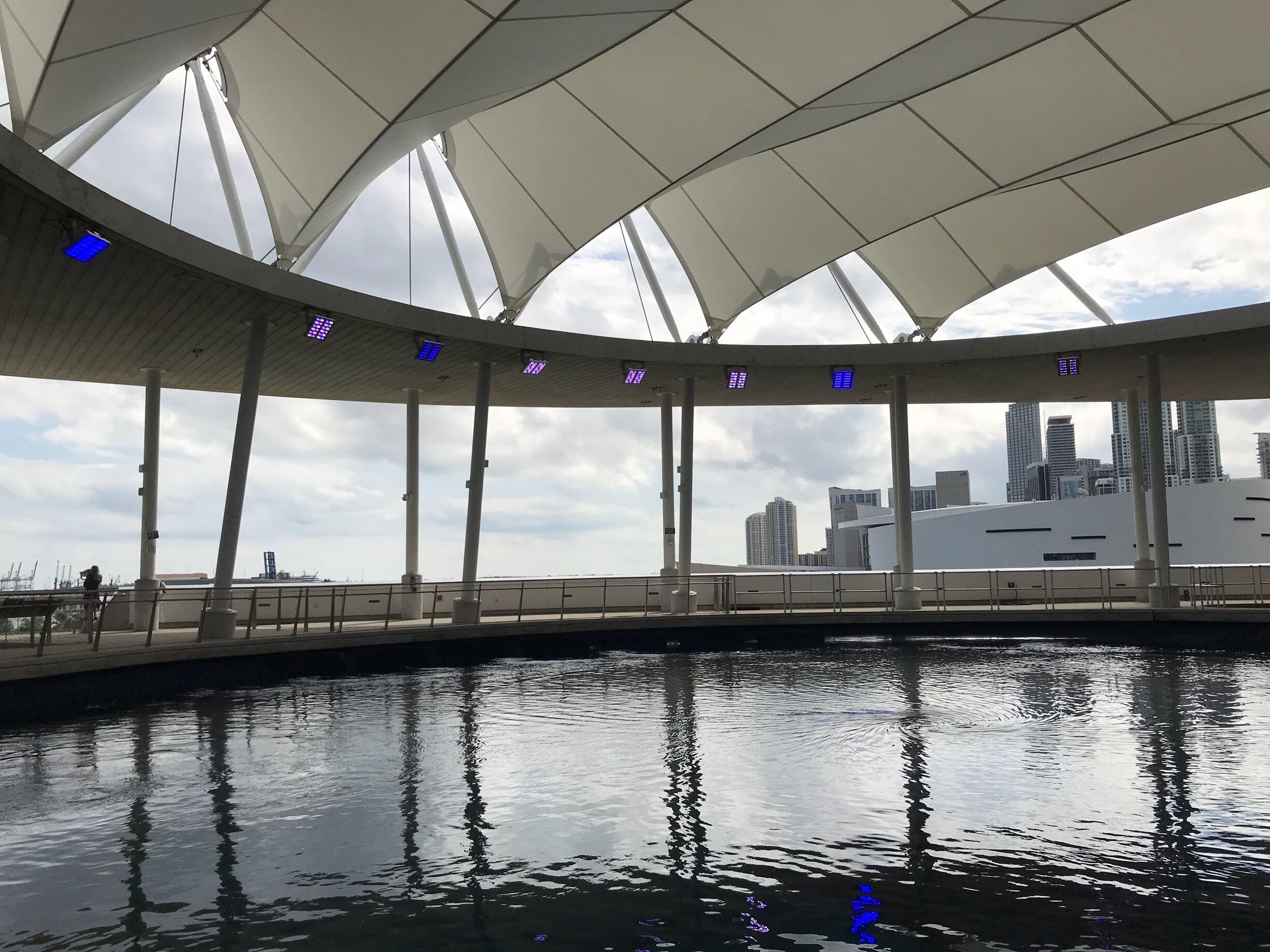 Frost Museum view of Miami. 