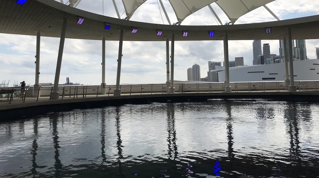 Frost Museum view of Miami.