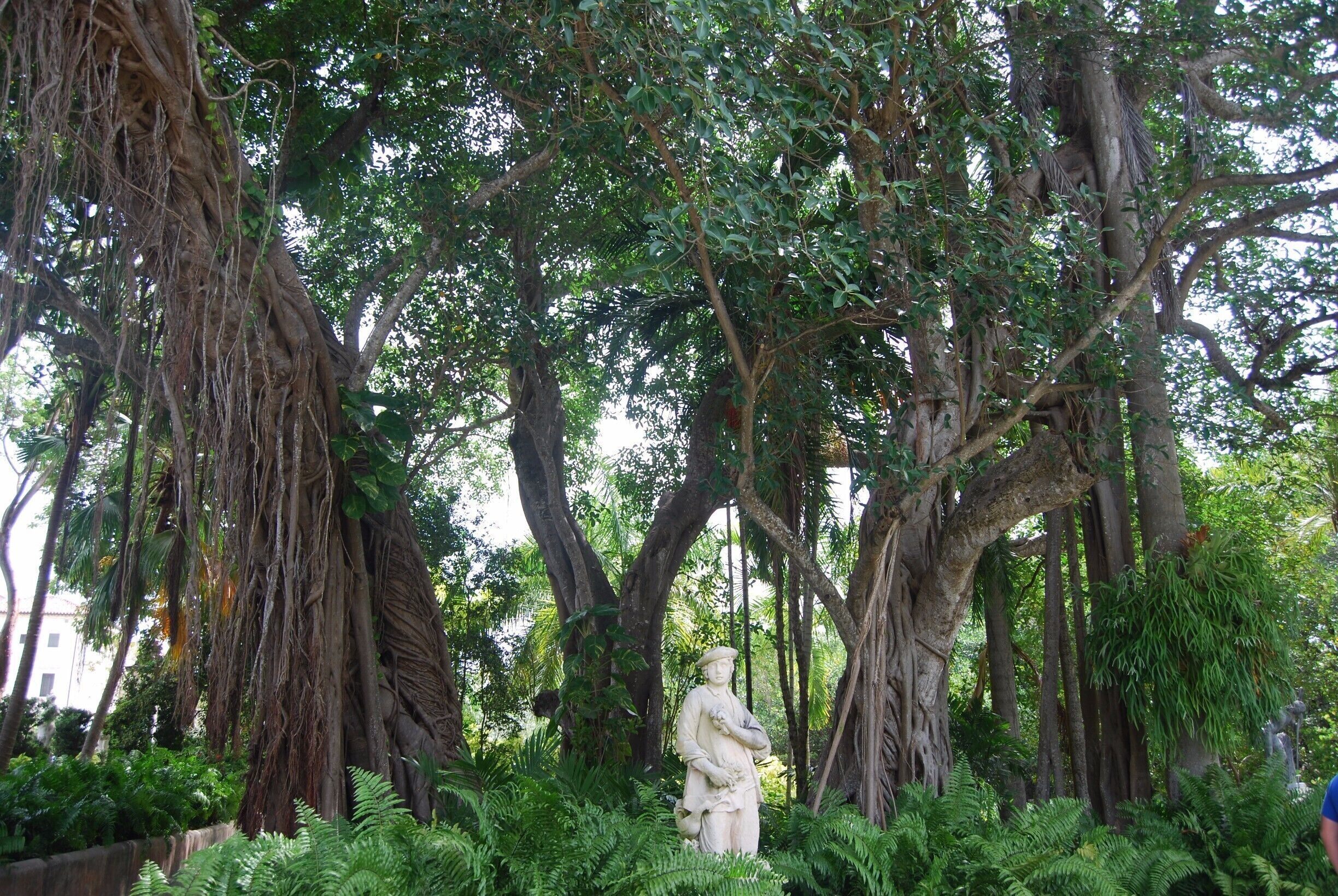 Vizcaya is an estate that was built in the early 1900’s by James Deering. He was inspired by European architecture, specifically Italian villas, but also wanted to include traditional Florida history and materials in his home. The unique mix of European and Floridian design is so interesting and beautiful. As we drove through the gates, we felt as if we stepped out of Miami and into a totally different world. We were in awe that this estate sat literally a mile down the road from the renown skyline, bikinis, and bars of Miami.  

It is open every day from 9:30 - 4:30 except on Tuesdays when it is closed. It is $18 dollars for adults, $10 for students, and $6 for children. It is worth every penny!