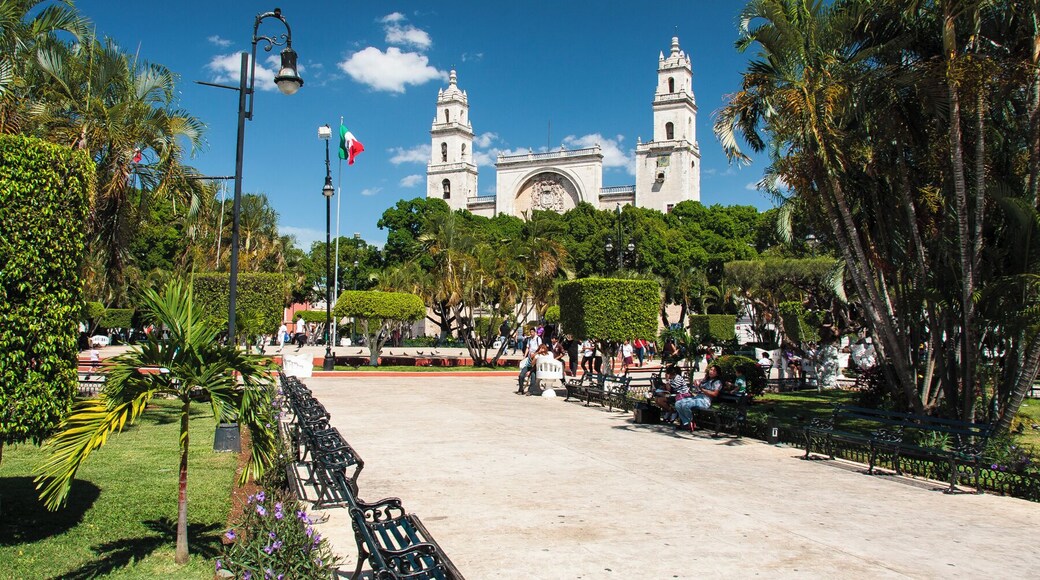 The Plaza de la Independencia (or Plaza Grande) is the bustling central square of the city of Merida, Mexico. The tree-filled plaza is lined with benches, making a great place to meet people. The square is bordered by colorful, colonial-style buildings, with the prominent, fortress-like Catedral de San Ildefonso on the northeast corner.