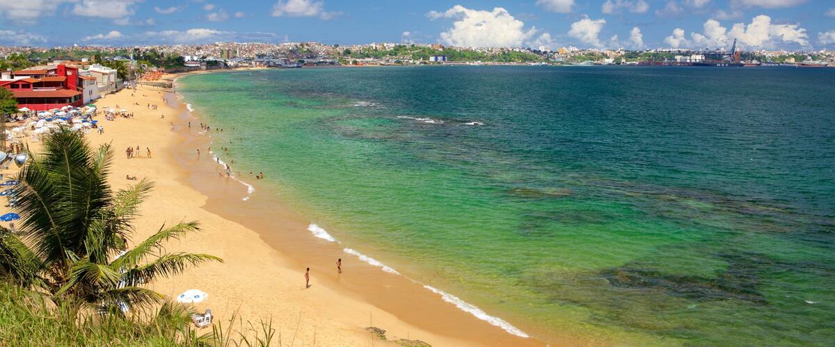 A beach with clear turquoise waters, a sandy shore, and a cityscape in the background.