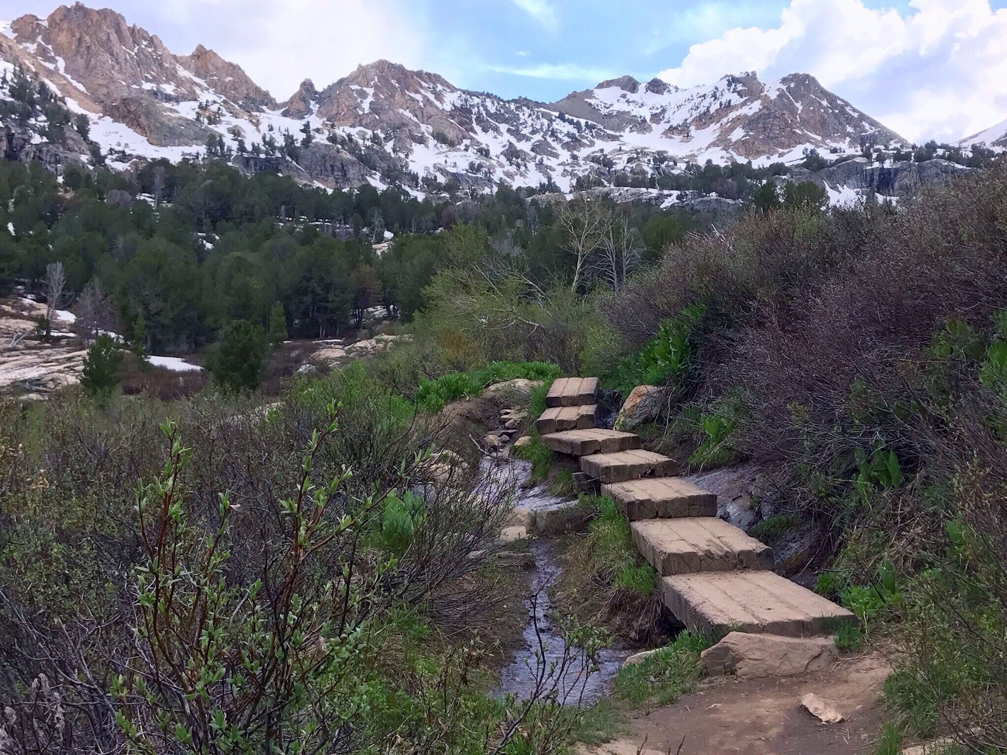 At the end of the road into Lamoille Canyon in the Humboldt National Forest you'll find a trail that continues back toward the south.  About 10 minutes in I happened across this plank bridge crossing a small stream. Very easy hike to this point with only a few hundred feet elevation gain.  A little ways beyond required a tougher crossing across logs and boulders which I was not prepared for but supposedly about 2 miles back is a lake that signs say is about 1-1/2 hours hike.  Next time I'll have to bring my gear and try that!