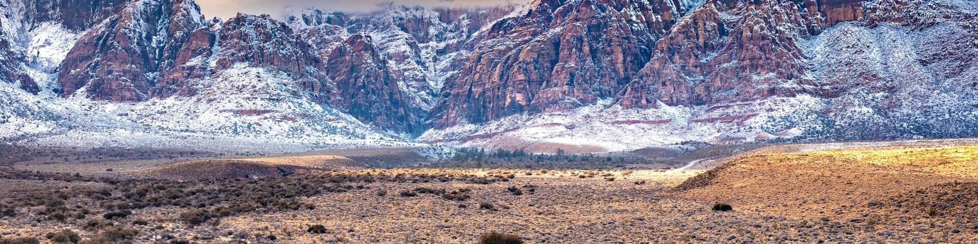 Paisagem montanhosa coberta de neve com vegetação rasteira.