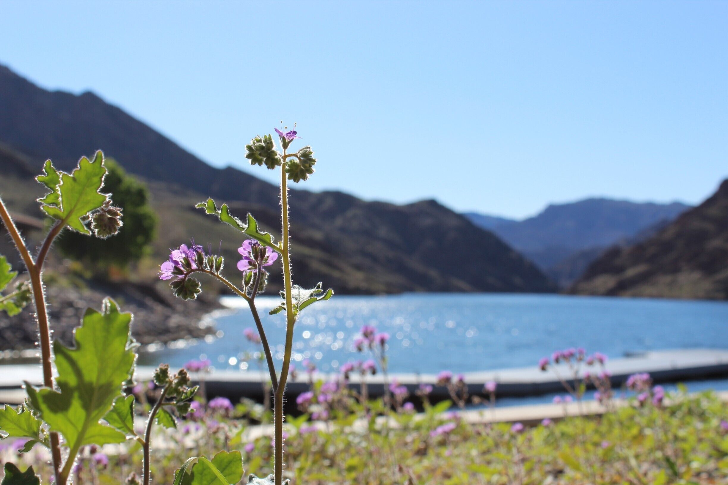 Serene recreation area, I went in February and practically was the only one out on the water. The recreation area visitor center has boats and kayaks for rent. 
