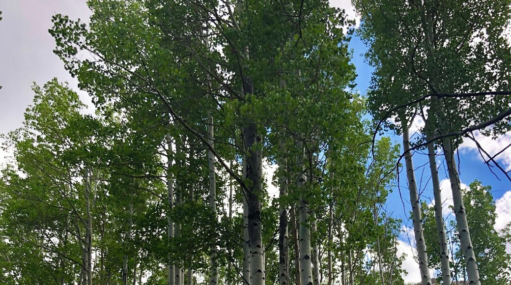 Beautiful Canyon located just outside of Winnemucca, NV.