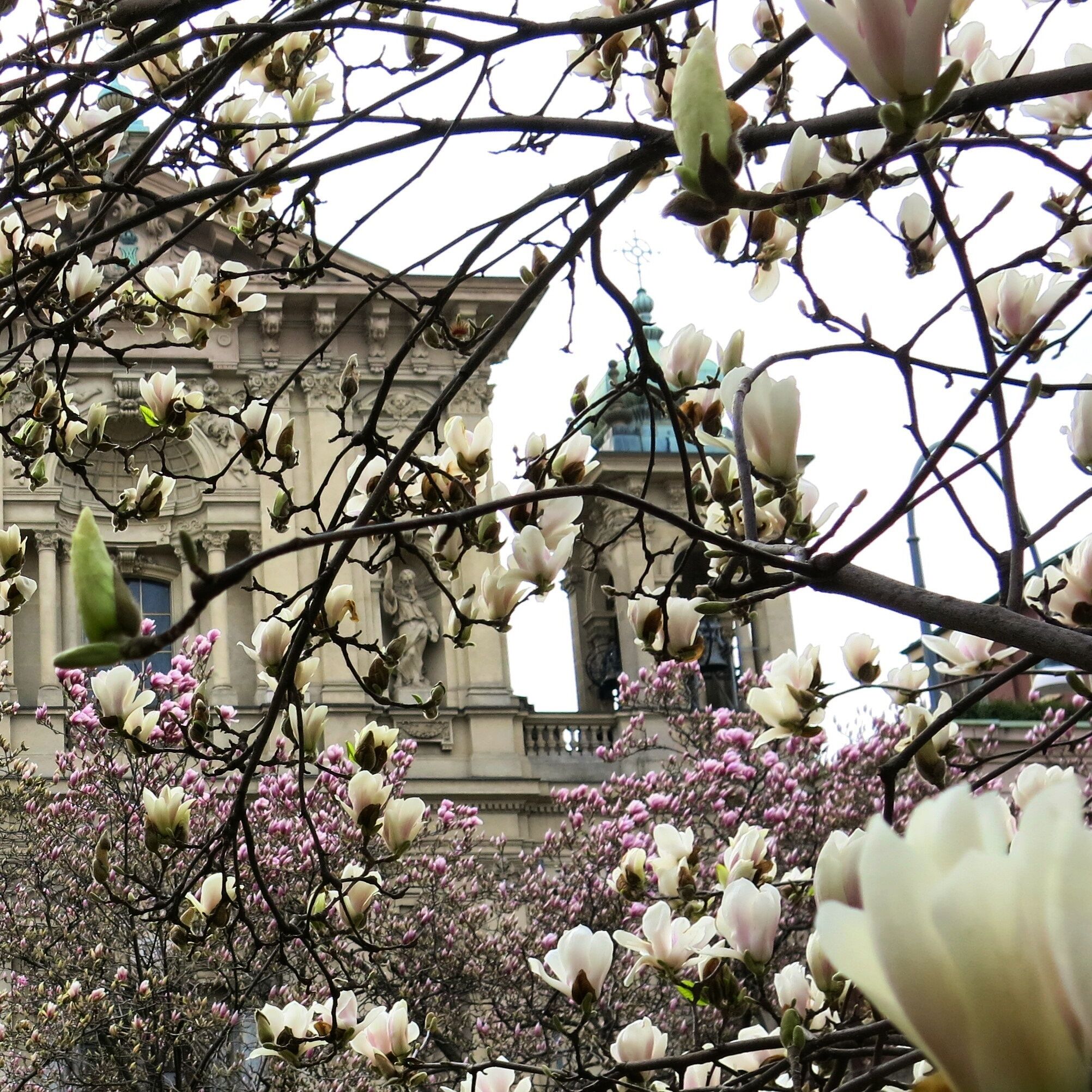 Metropolitan City of Milan