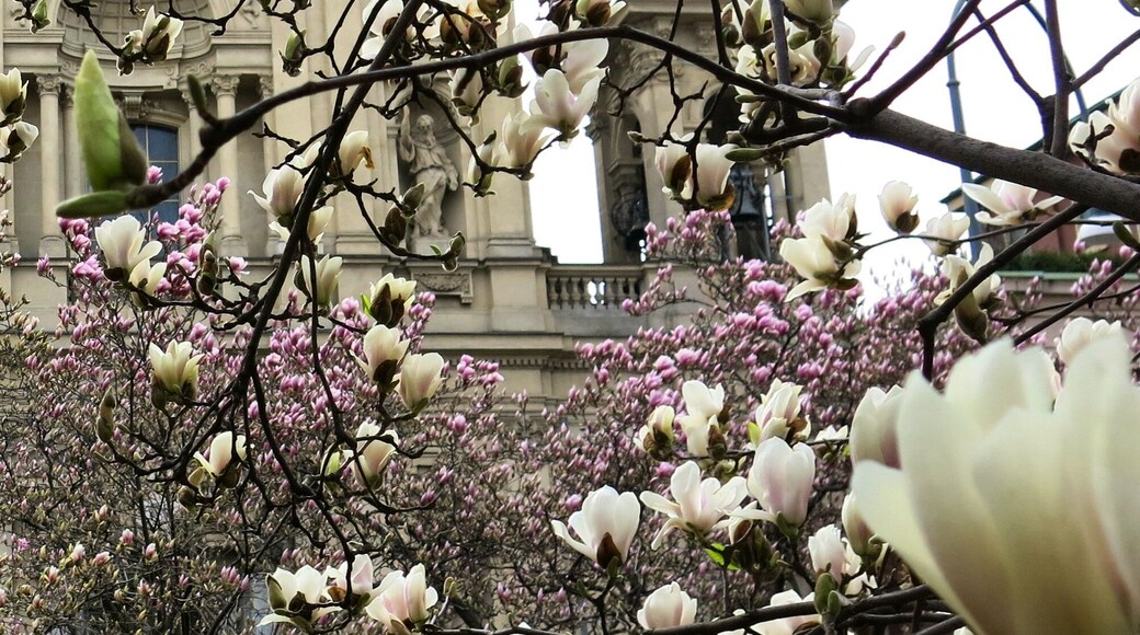 Metropolitan City of Milan