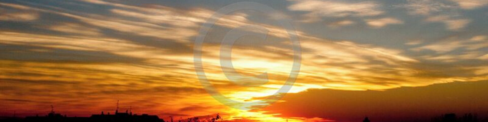 Windy day in Milano
#goldenhour