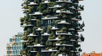 A view of Bosco Verticale in Milan as we set off for Desenzano del Garda.
I thought that this building was fascinating. It is like a vertical garden.