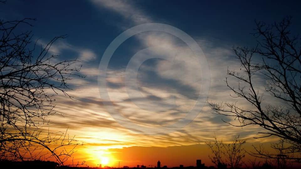 Ein Sonnenuntergang mit Baum-Silhouetten und einer Stadtansicht im Hintergrund.