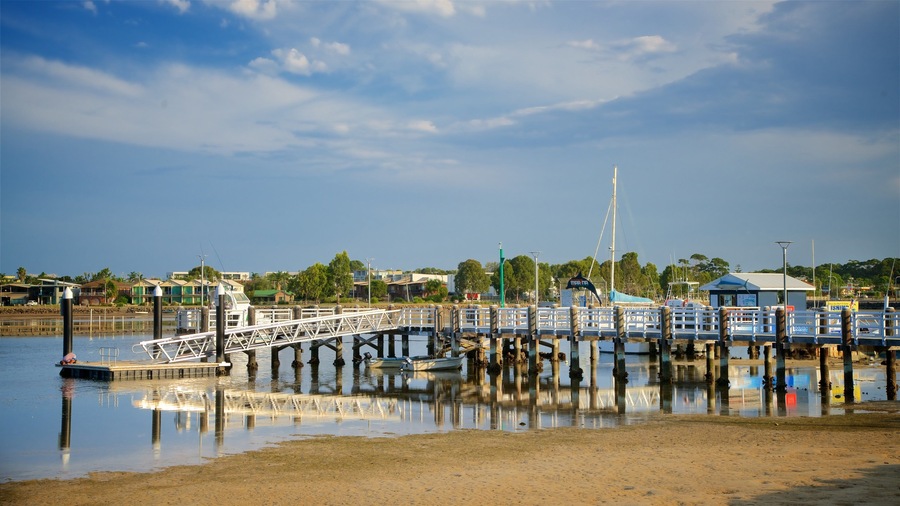 Sapphire Coast which includes a sandy beach and a bay or harbor