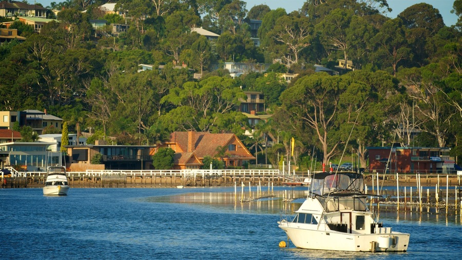 Un pueblo costero con casas, un muelle y barcos en el agua.