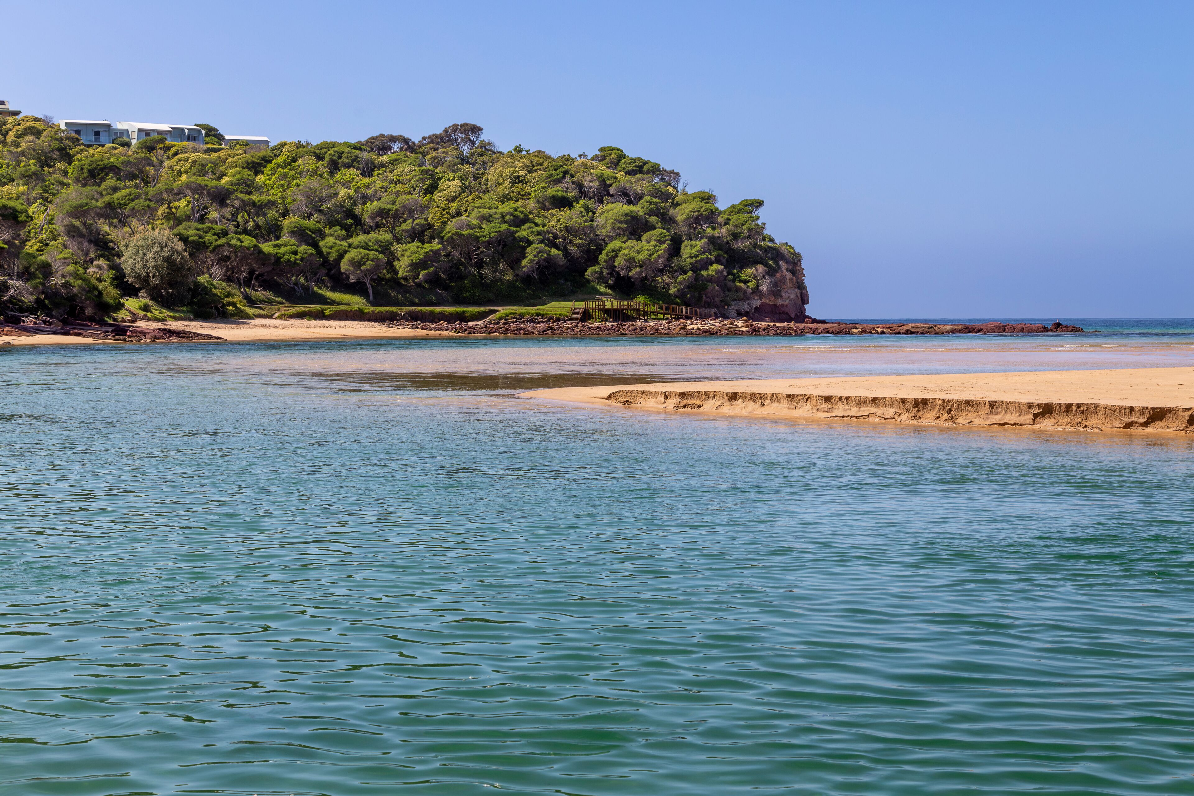 A coastal landscape with a sandy beach, calm waters, and a forested hill.