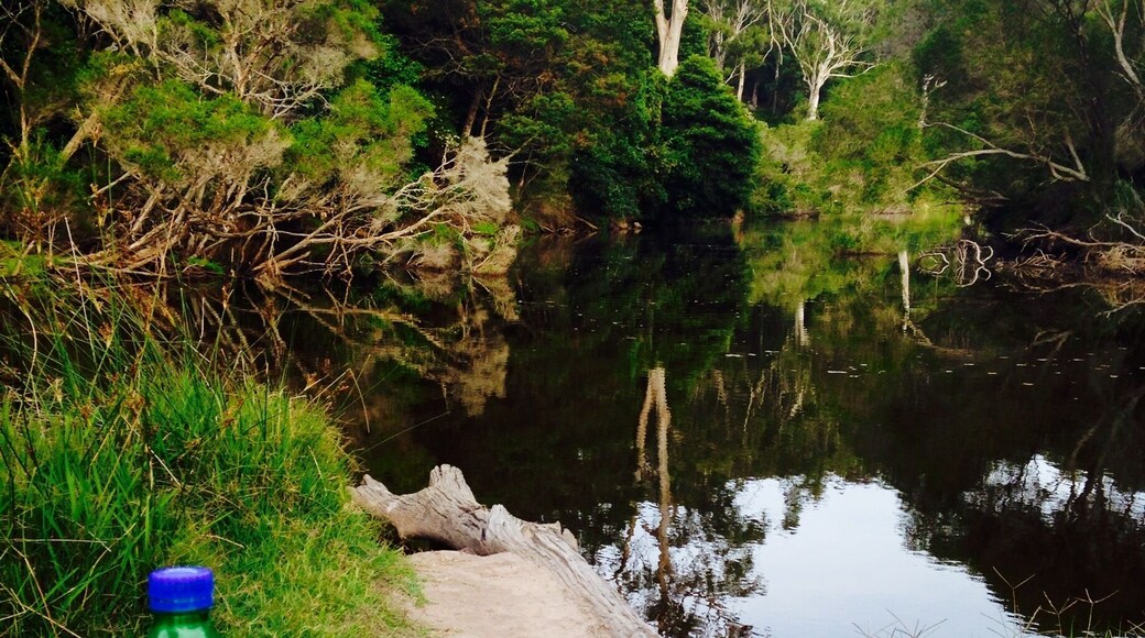 Around the side of Berrambool oval in Merimbula there is a small walking track in the bush which leads to the river. There is a little chair to sit on, I enjoyed a romantic dinner to myself on New Year's Day haha. It's a lovely spot to listen to the birds and ducks surrounding you.