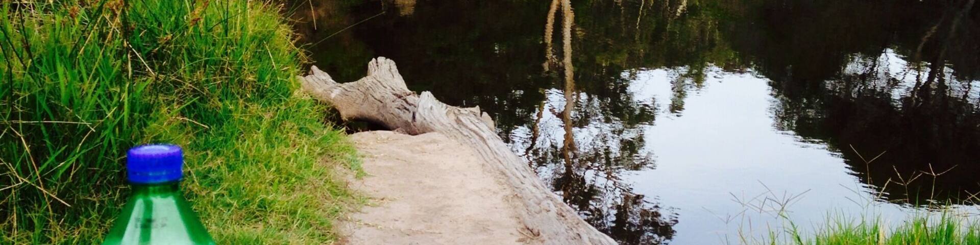 Around the side of Berrambool oval in Merimbula there is a small walking track in the bush which leads to the river. There is a little chair to sit on, I enjoyed a romantic dinner to myself on New Year's Day haha. It's a lovely spot to listen to the birds and ducks surrounding you.