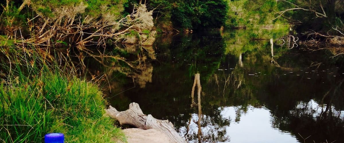 A picnic setup by a river with a Sprite bottle, a wrapped sandwich, and a pizza box.