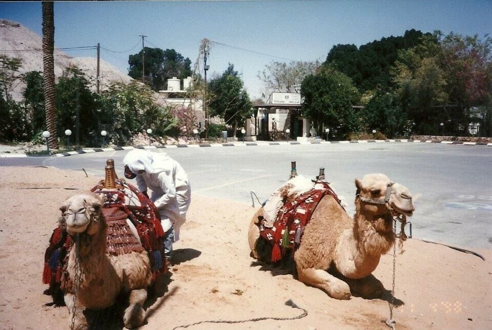 Camel rides in Israel offer a unique way to explore the landscape of the Negev Desert. Riding a camel is a unique experience and one which I will never forget.