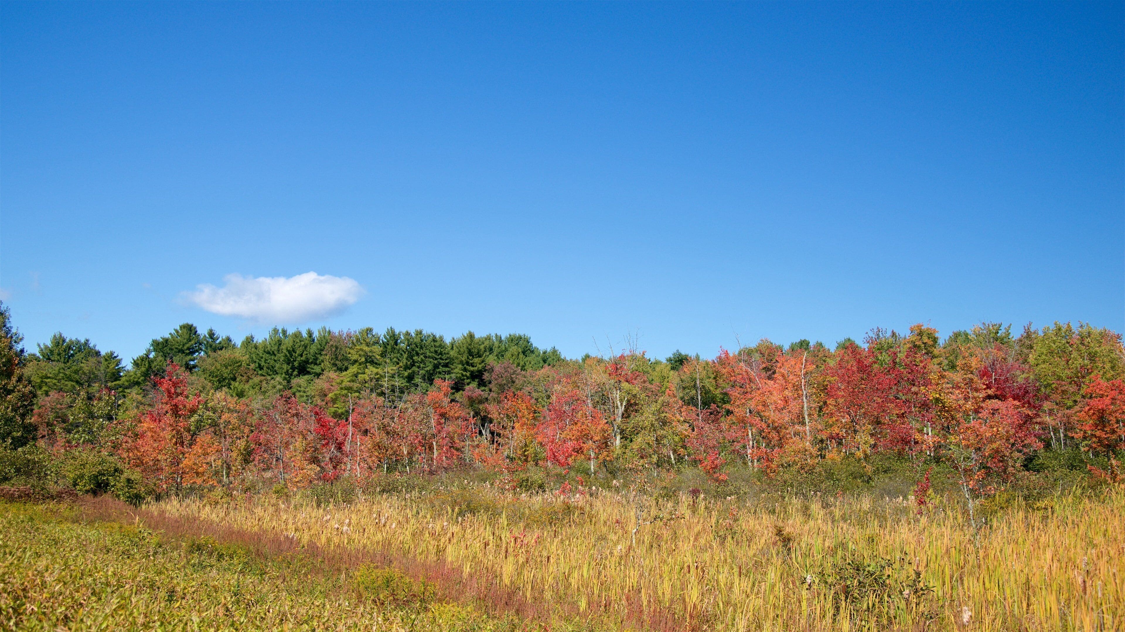 ニューハンプシャー州観光ガイド～定番人気スポットを参考に自分にピッタリの観光プランを立てよう！｜エクスペディア