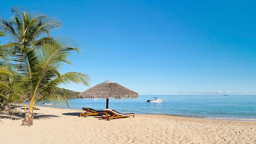 Une plage avec des chaises longues, un parasol en feuilles de palmier, un palmier et un bateau sur lâeau.