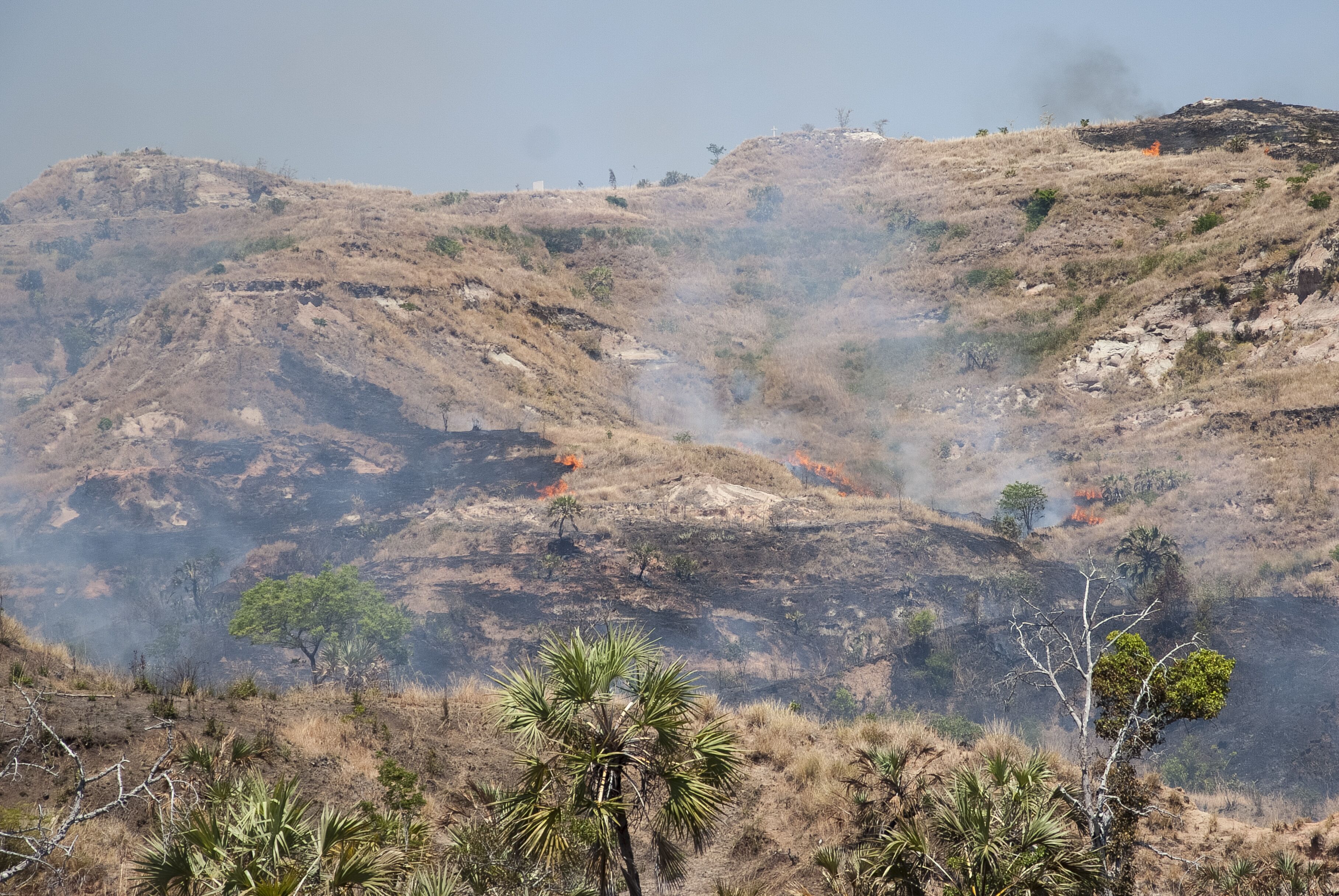 √©cobuage, feu de brousse, Majunga, Madagascar