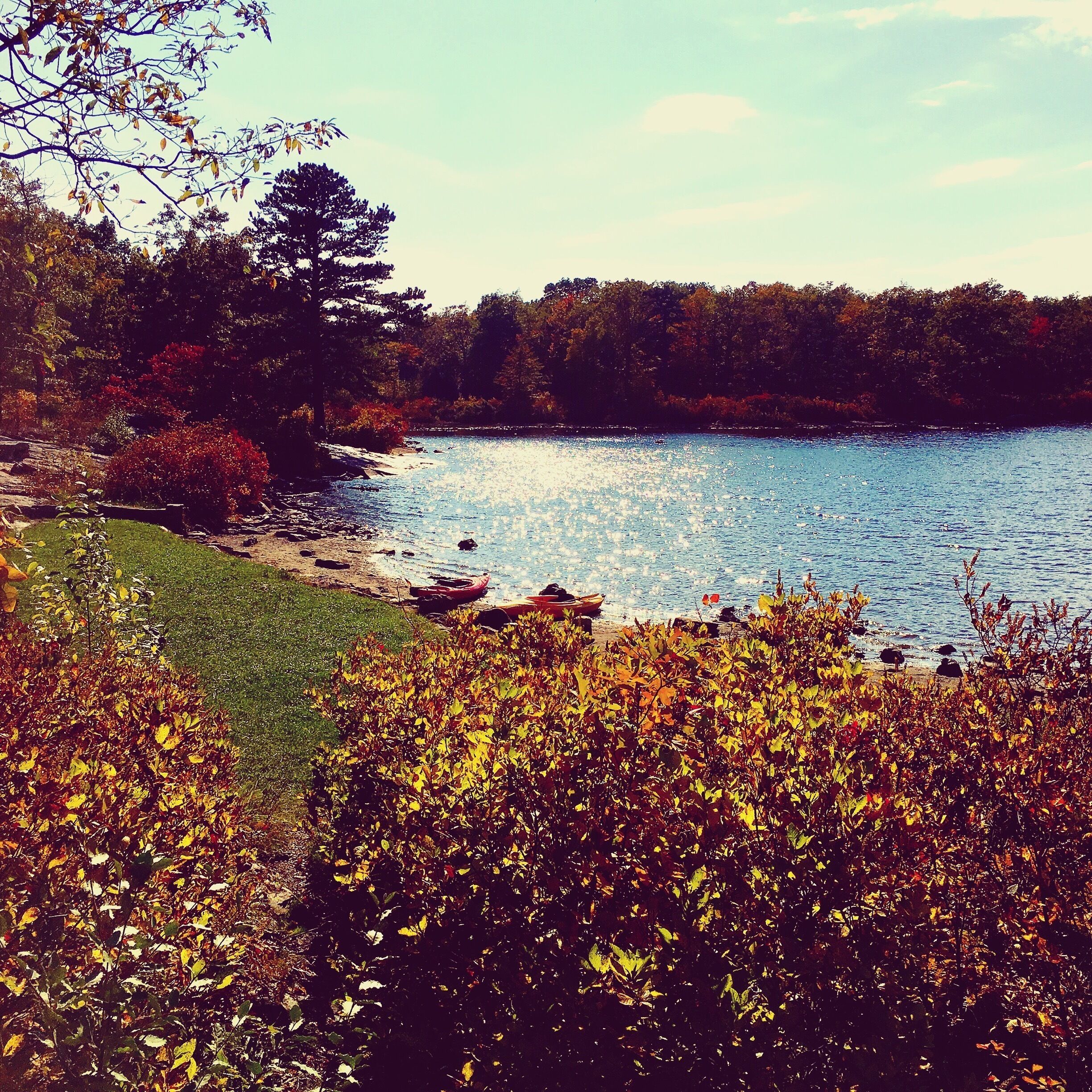 Crater lake &blue mountain lake; New Jersey birding&wildlife trails.sparking water and scenic overlooks 