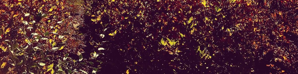 Crater lake &blue mountain lake; New Jersey birding&wildlife trails.sparking water and scenic overlooks